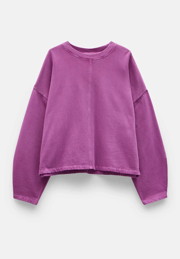 Amara Seam Detail Sweatshirt 7 Amara Seam Detail Sweatshirt - Image 5